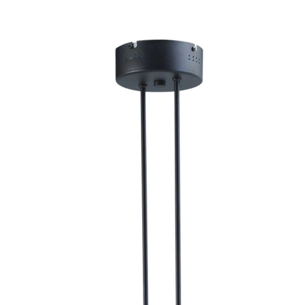 Lampe à suspension LED Dante 42-96 Masterlight 8718121182018