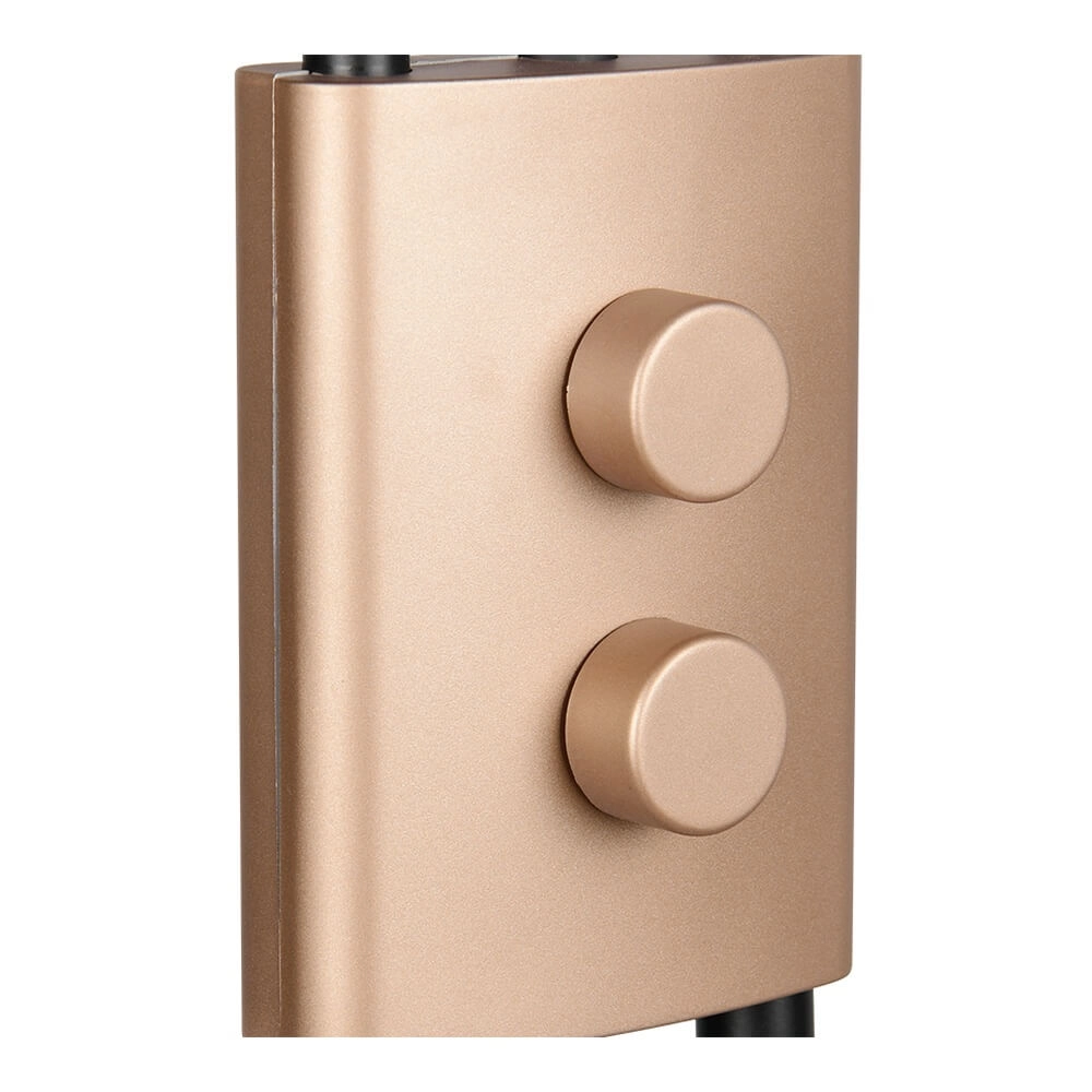 Lampe de lecture Chris Brun café 2 lumières Trio 4017807642971