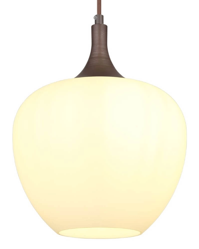 Lampe à suspension marron Maxy 1 lumière Ø 24cm Globo 9007371445356