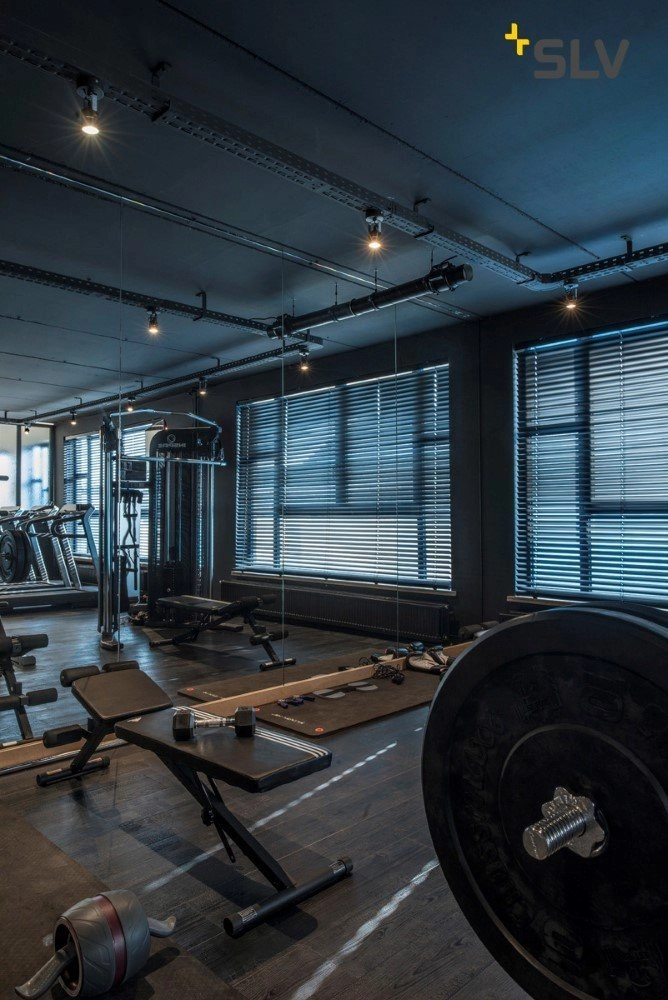 spot Spot 79 230V noir SLV 4024163103404