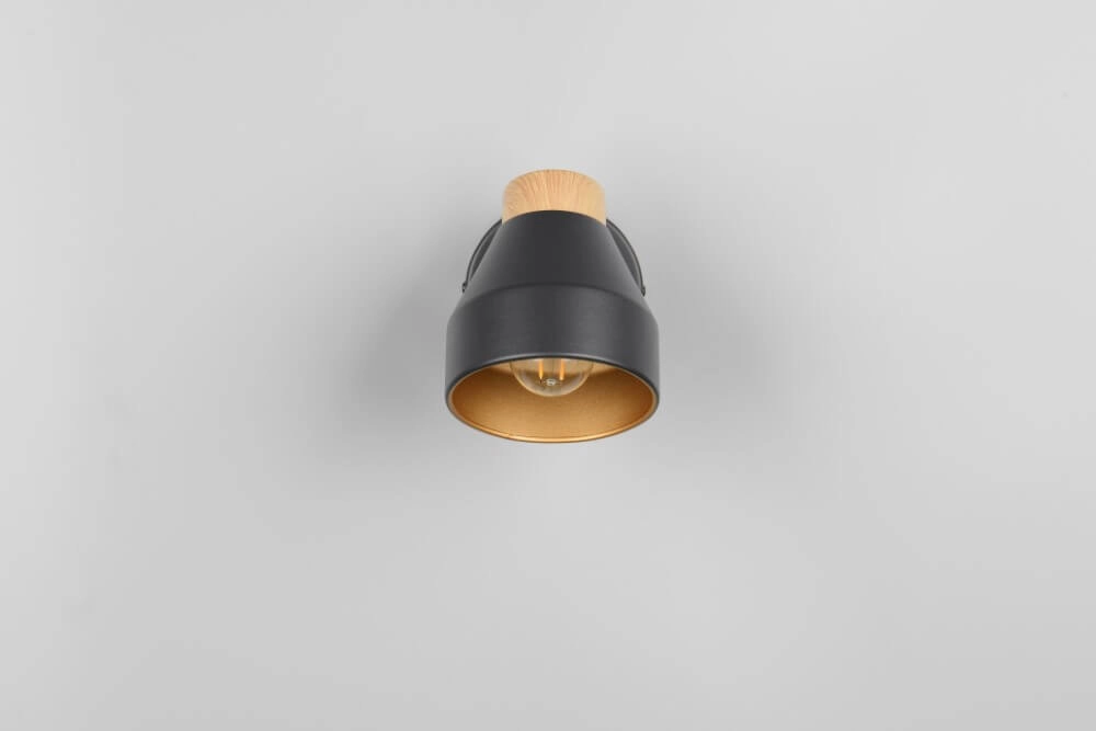 Applique murale design Valentin noir Trio 4017807637397