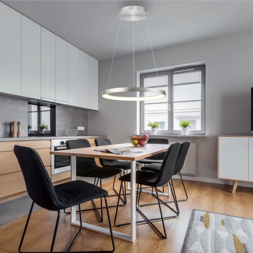 Lampe suspendue ronde Hoop aluminium Paul Neuhaus 4012248384718