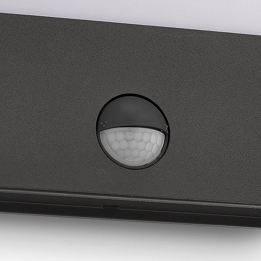 LED lampe d'extérieur My Garden Raccoon avec capteur de mouvement Philips 8718291479482