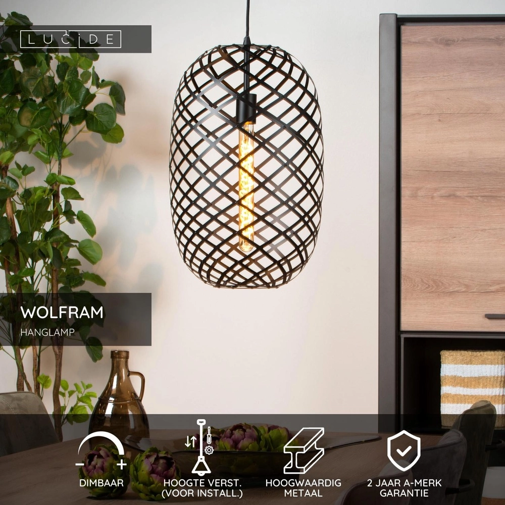 Lampe suspendue Wolfram Ø 32cm noir Lucide 5411212211163