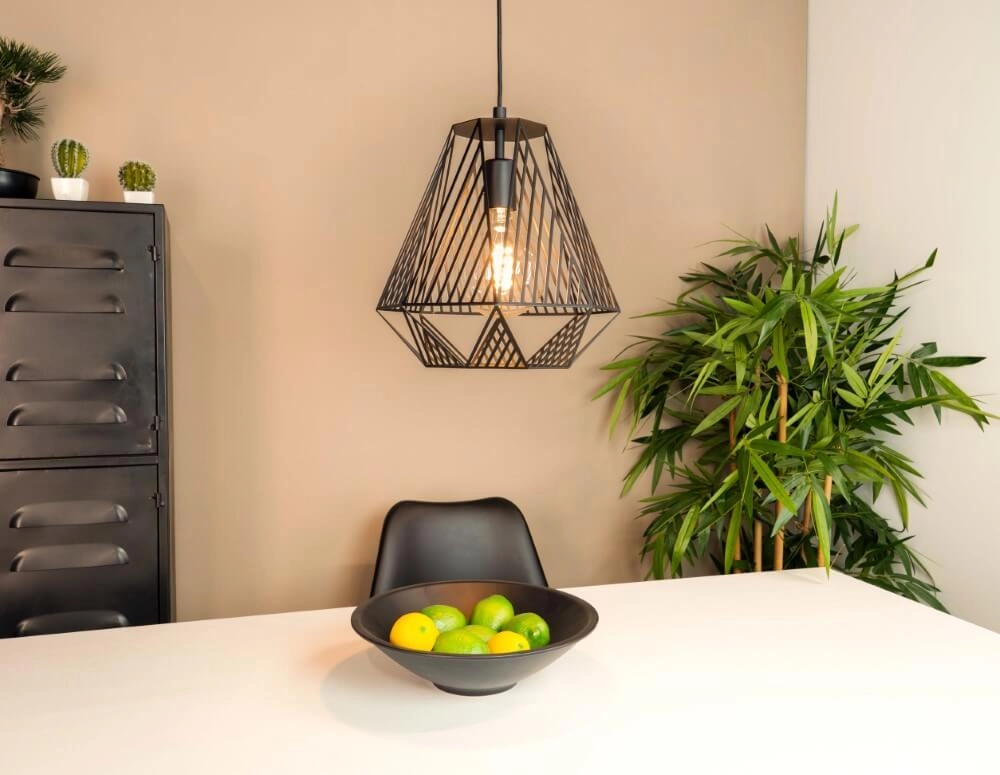 Lampe à fil noir Stype Ø 33 cm Eglo 9002759436926