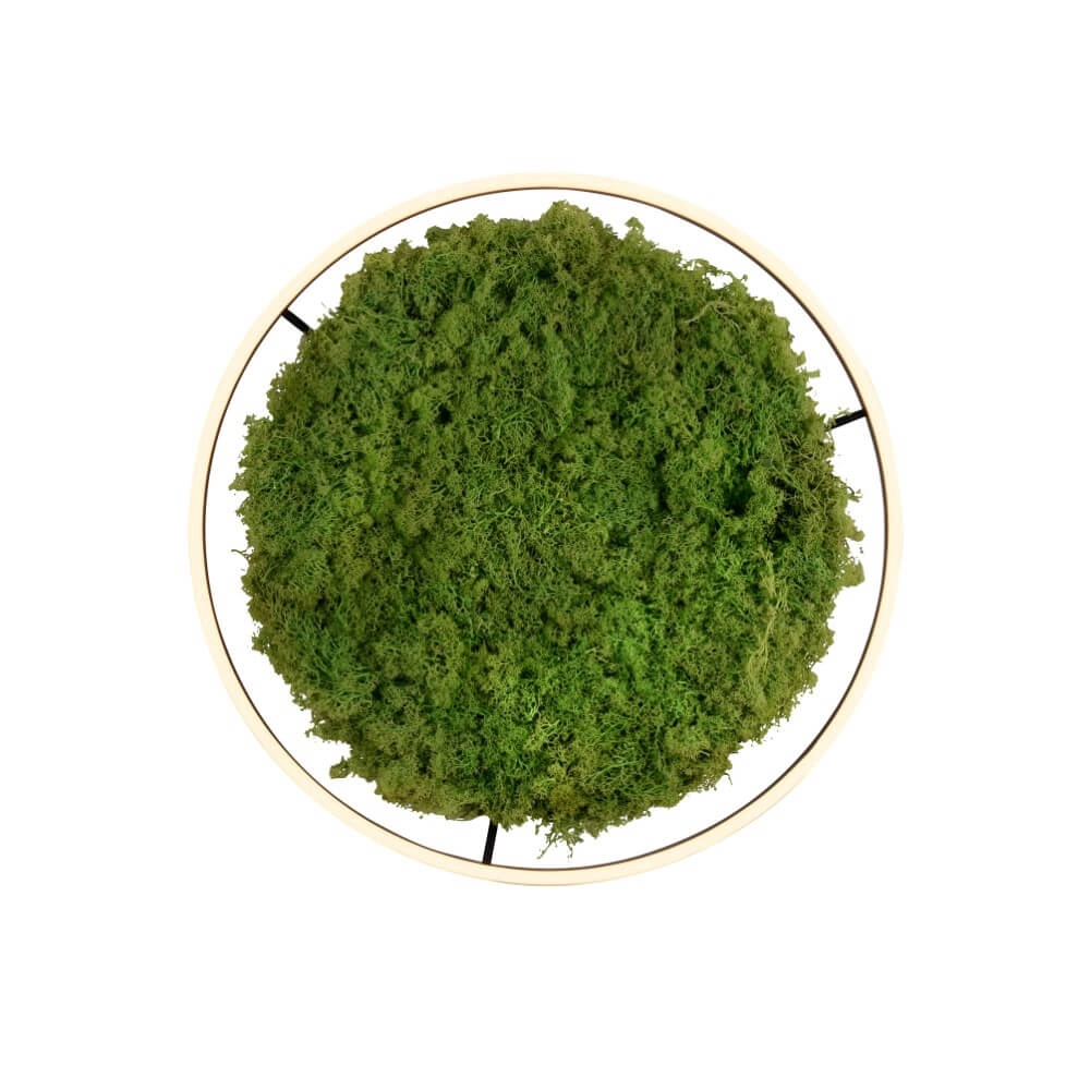 Plafonnier Green Ritus avec mousse Ø 58,5cm Just Light 4043689994808