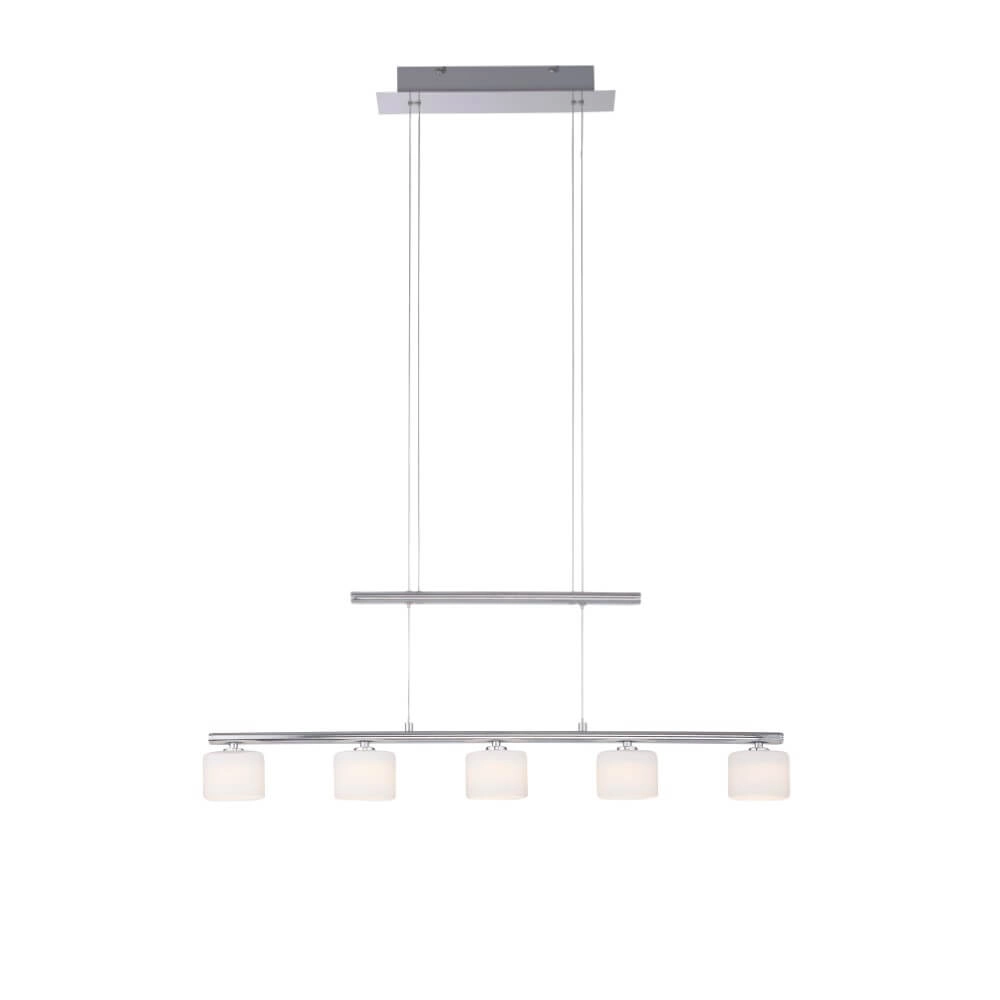 Lampe suspendue 5 lumières Hydra métal Paul Neuhaus 4012248364963