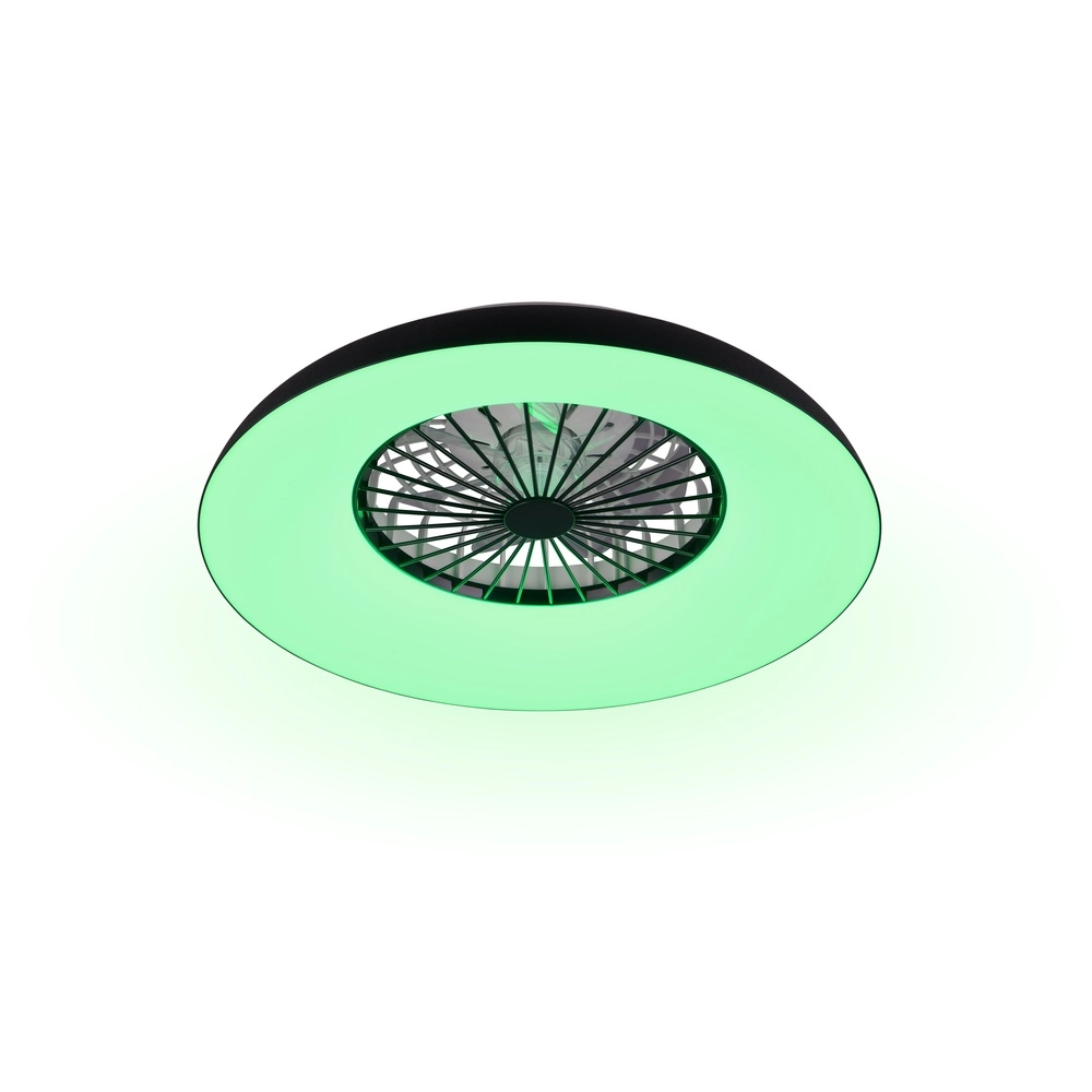 Ventilateur de conception Svaerholt noir Ø 60cm avec fonction RVB Trio 4017807688795