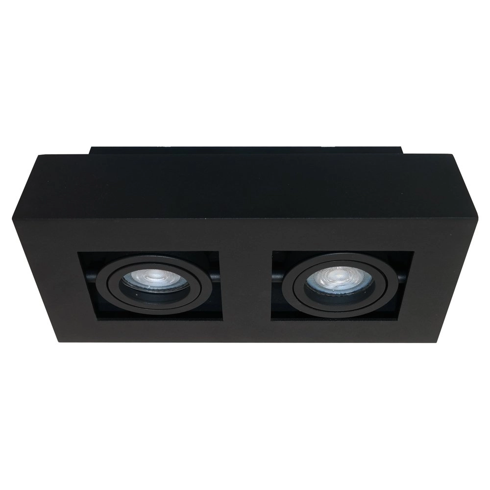 Spot de plafond Bosco 2 lumières Artdelight 8719831736409