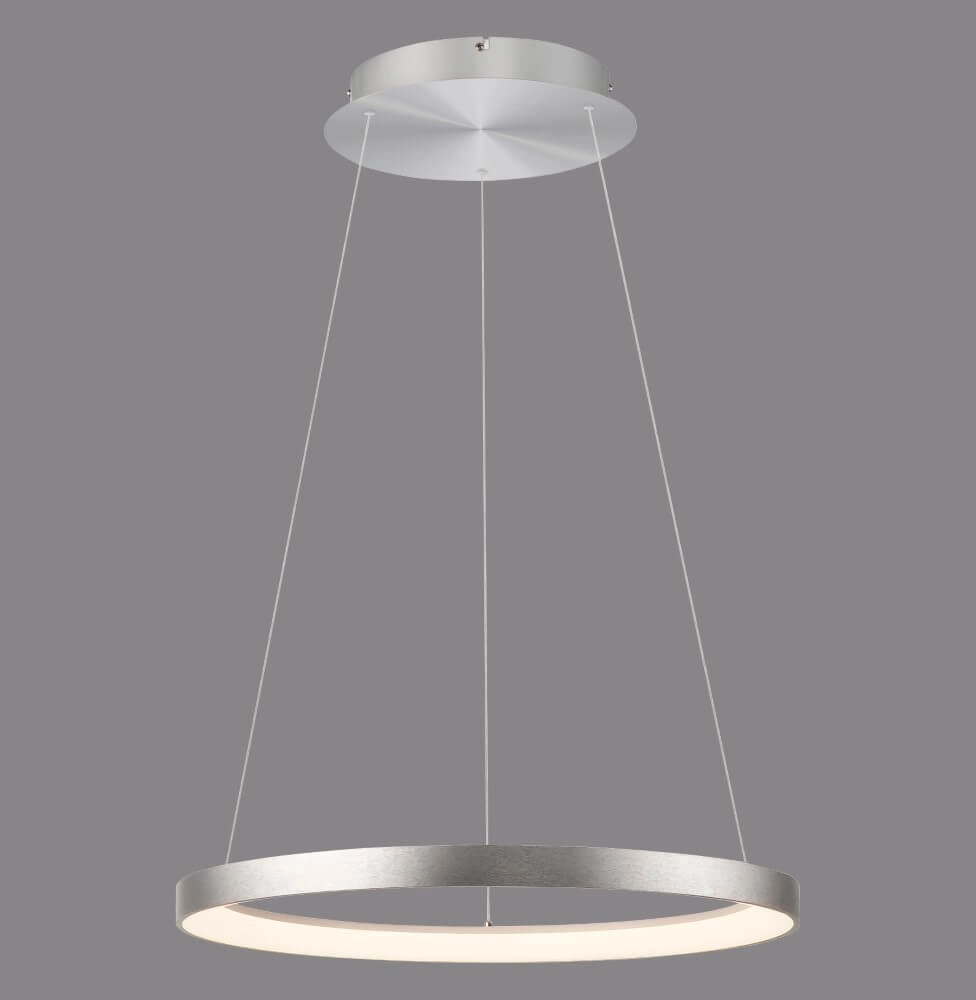 Lampe suspendue ronde Hoop aluminium Paul Neuhaus 4012248384718