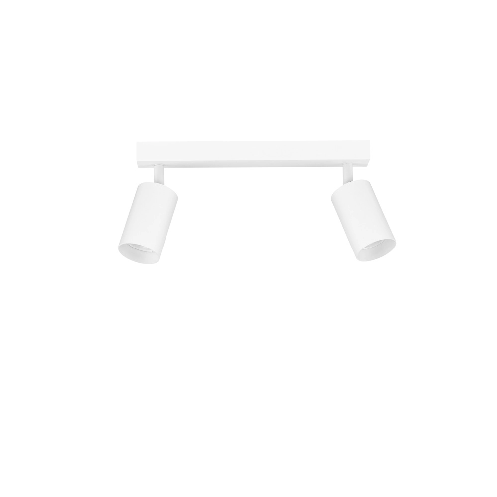 Spot de plafond Reig 2-blanc le plus léger Lyora 5212017477941