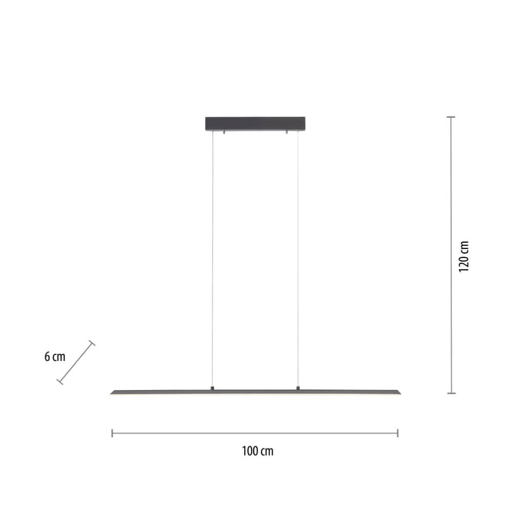 Lampe suspendue design Pure Lite 100 cm anthracite Paul Neuhaus 4012248344873