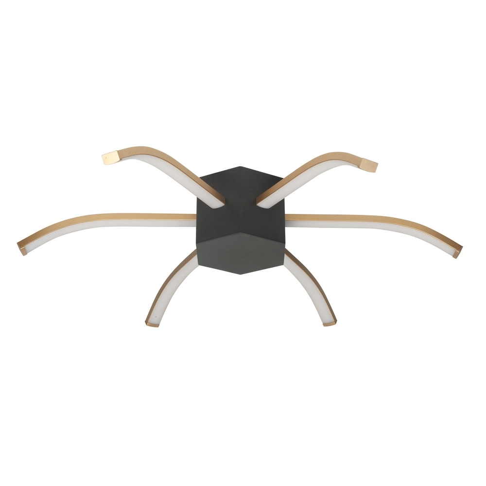 Plafonnier design Spider noir avec or Ø 60cm Plafonnier design Spider noir avec or Ø 60cm