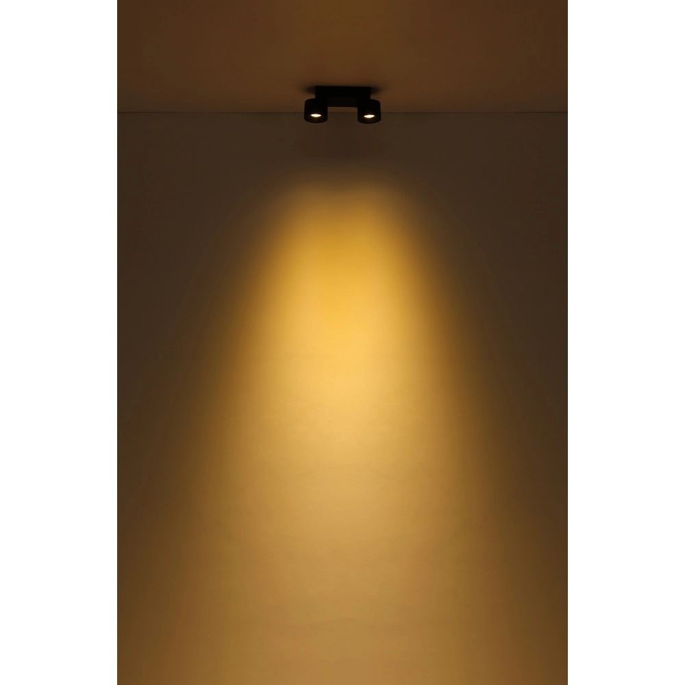 Lampe de plafond élégante Rae 2-noir clair Globo 9007371447640