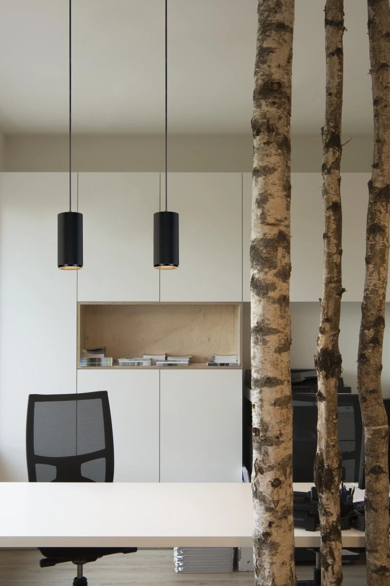 Lampe suspendue Numinos M blanc/noir 3000K - 36 deg SLV 4024163244053