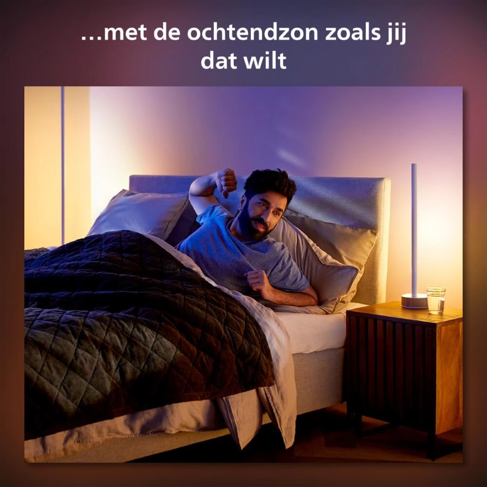 Lampadaire intelligent Hue Signe - White and color Philips 8719514433526