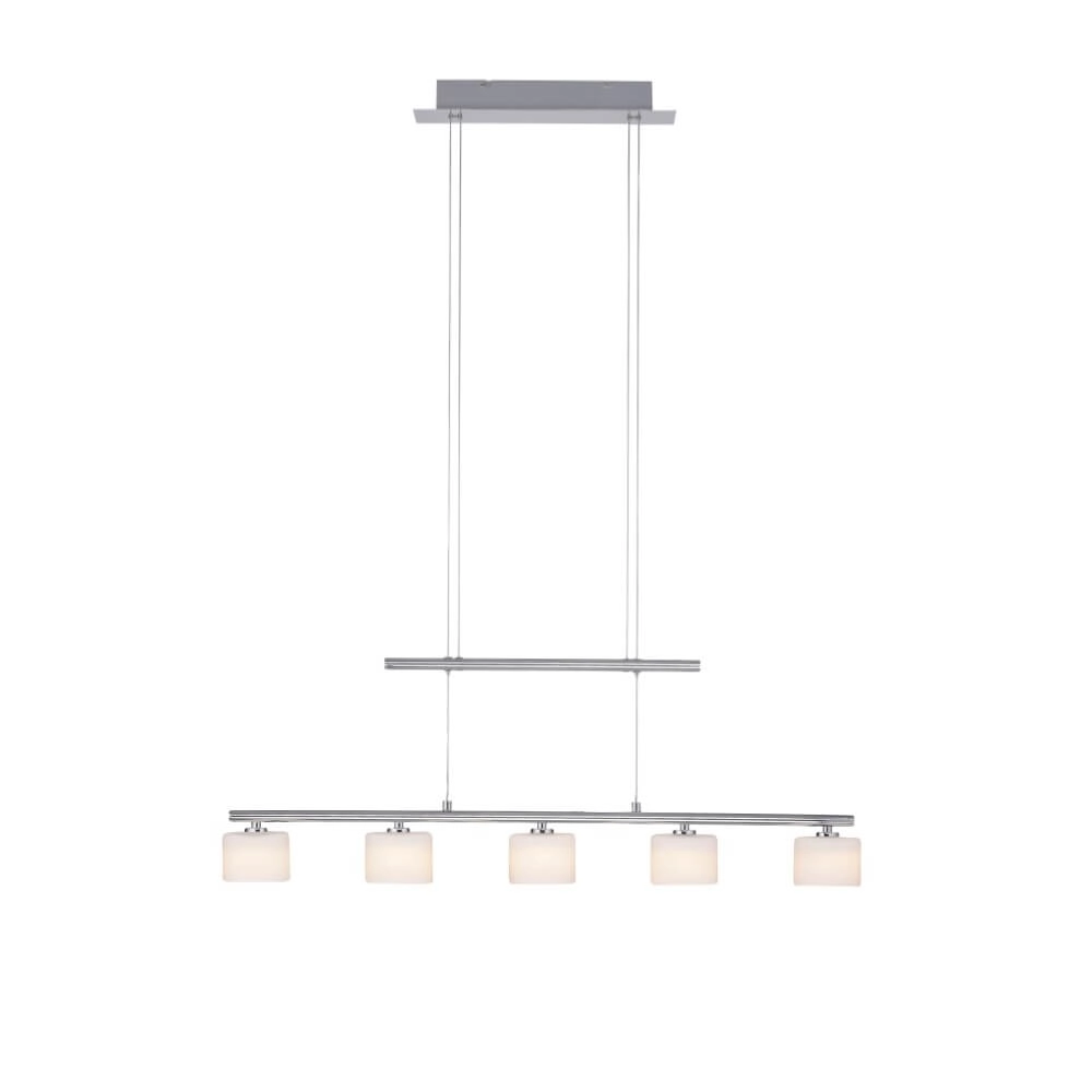 Lampe suspendue 5 lumières Hydra métal Paul Neuhaus 4012248364963
