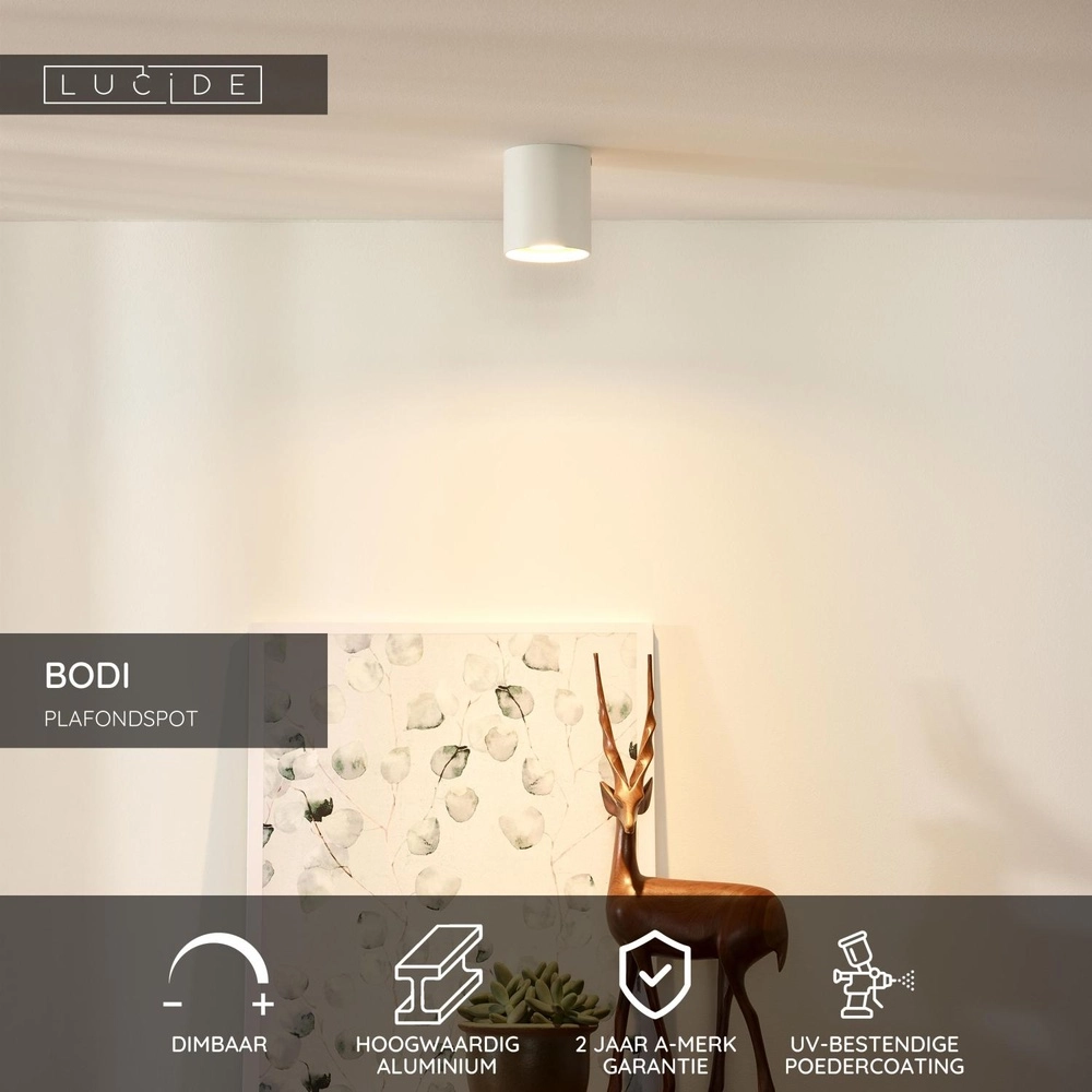 Projecteur de plafond Bodi Ø 8 cm blanc Lucide 5411212091543