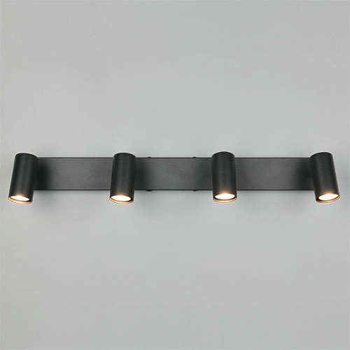 Emplacement monté en surface Taryn Noir à 4 lumières Trio 4017807685633