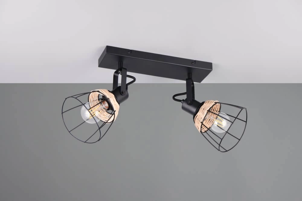 Plafonnier noir Jerome Design 2-lumière Trio 4017807637700