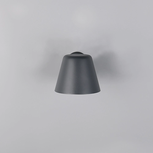 Lampe murale Beni Noir Trio 4017807691412