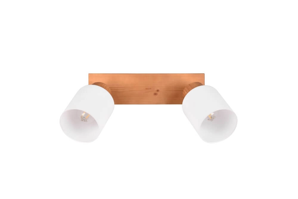 Spot de plafond rural Assam 2 lumières Trio 4017807539790