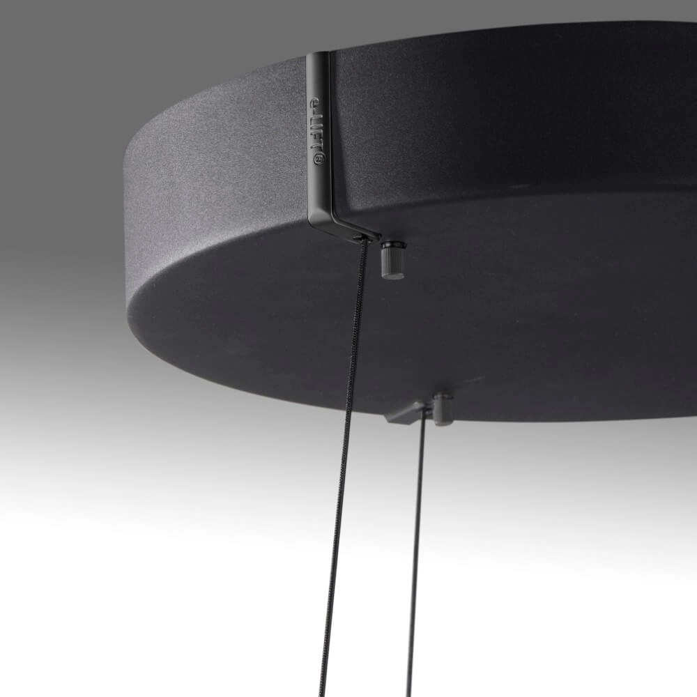 Lampe suspendue élégante Pure E-Loop black Paul Neuhaus 4012248386224