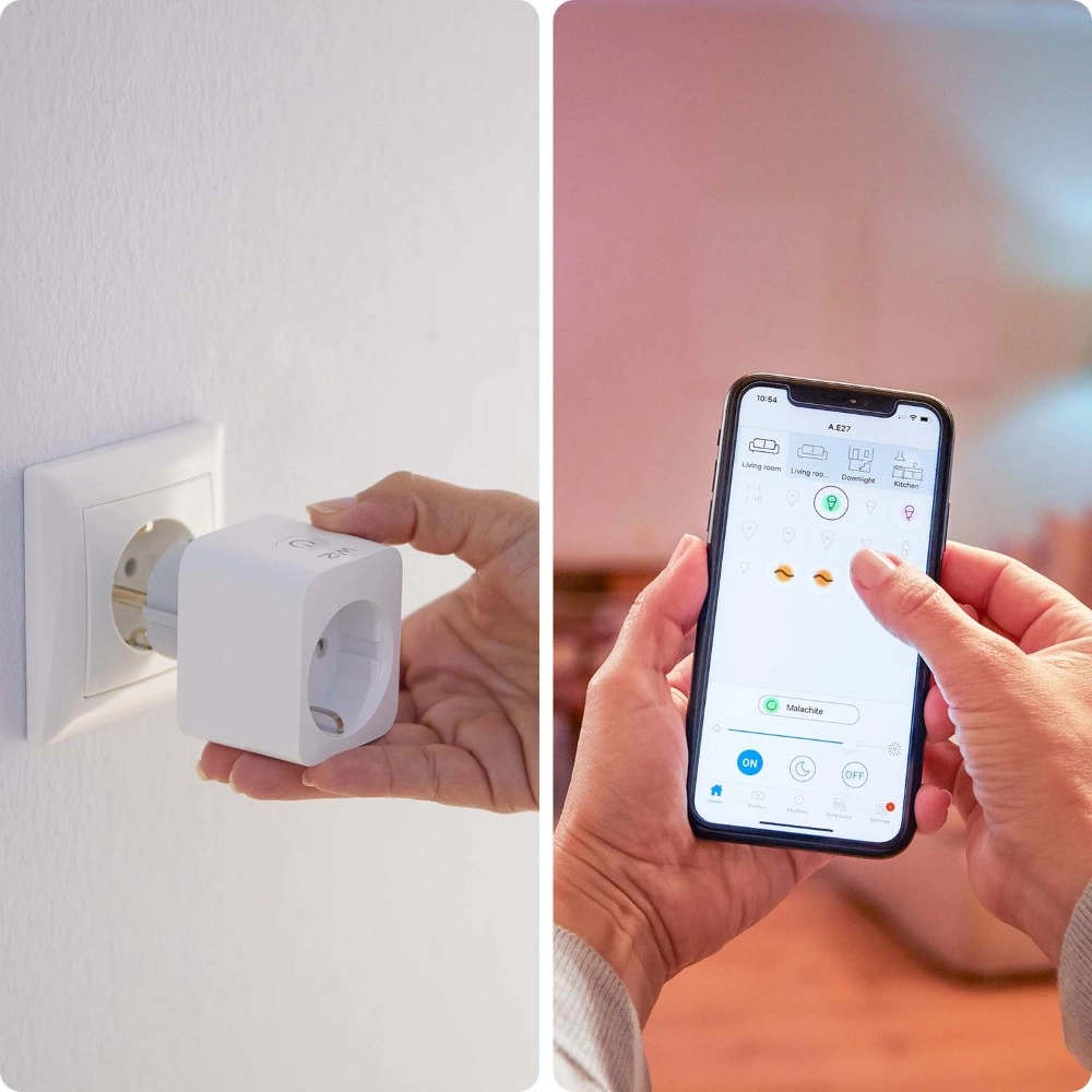 smart plug Type E (NL/UE) WiZ 8718699789329