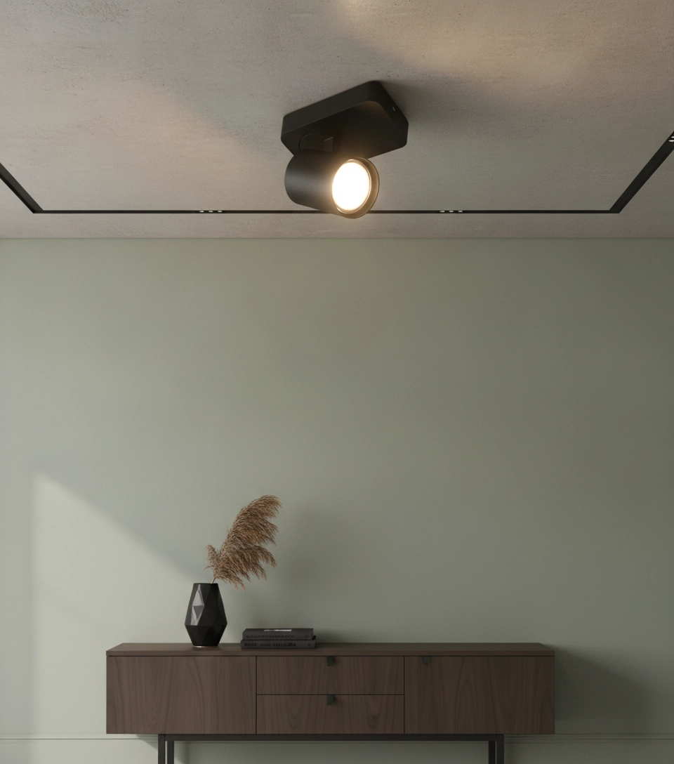 Spot de plafond Vivaro noir