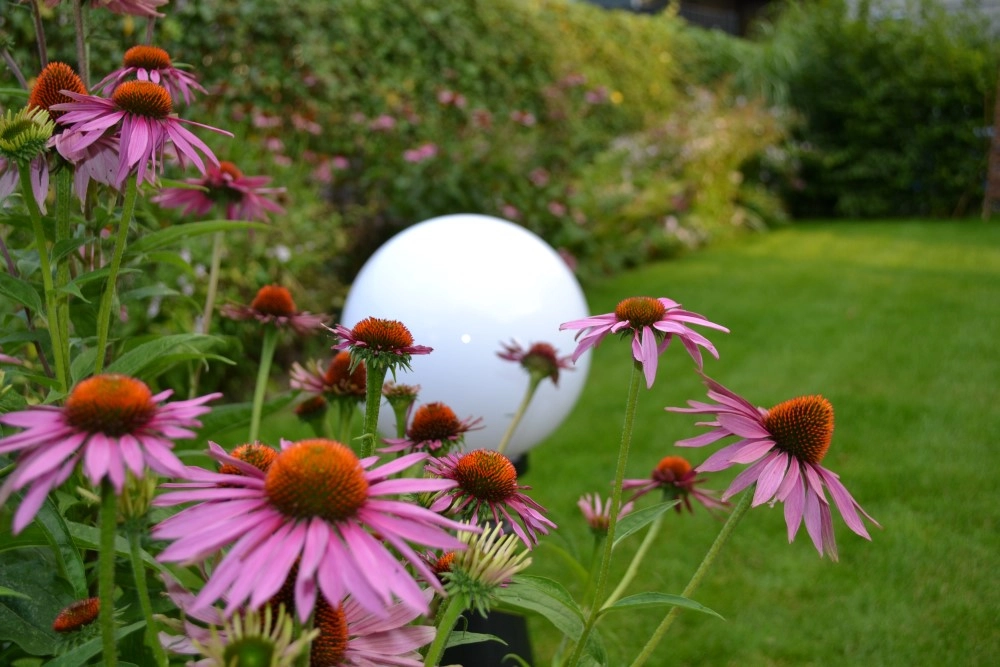 Lampe boule Bolano 20cm. Lyora 8716803507319