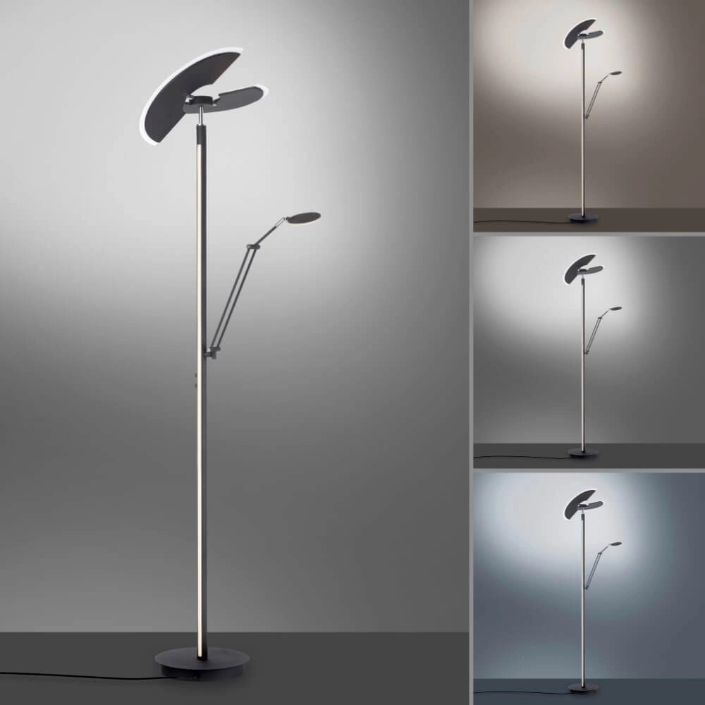 Lampadaire Pure Mutil anthracite Paul Neuhaus 4012248364345