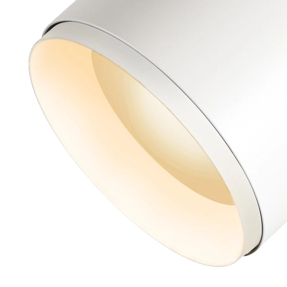 Spot en saillie Numinos XL Dali blanc/noir 3000K - 36 deg SLV 4024163260435