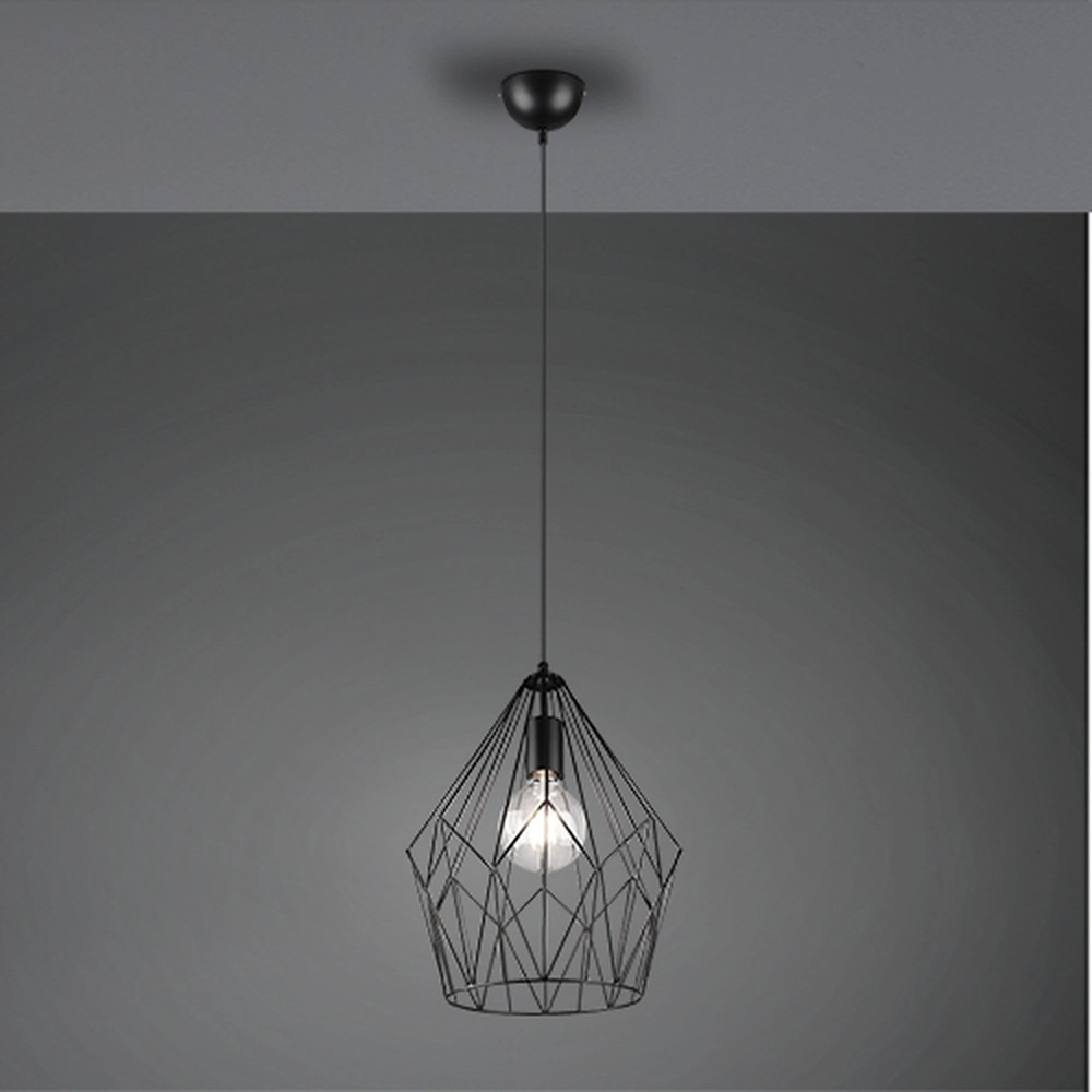 Lampe suspendue Cage Noir Trio 4017807475920