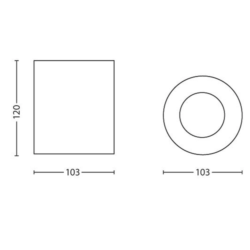 Spot de plafond robuste Pillar Philips 8718696156179