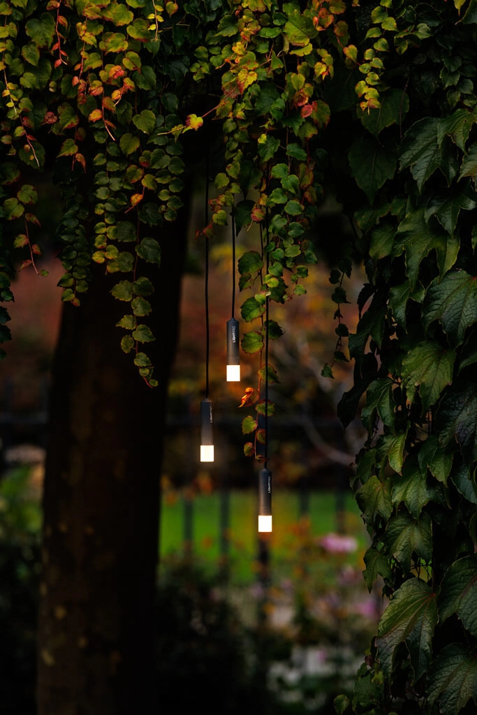 Lampes suspendues 12 volts Rodas lot de 3 Lightpro 8719979284152