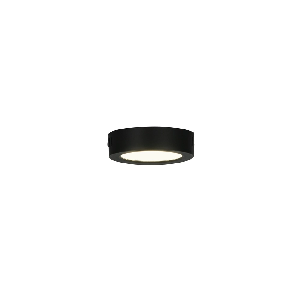 Lampe de plafond Laru Ø 12cm noir Trio 4017807711509