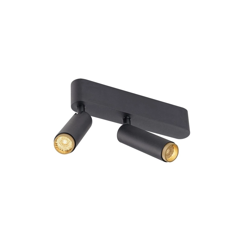Spot monté en surface Grip! S 2 lumières noir 2700K