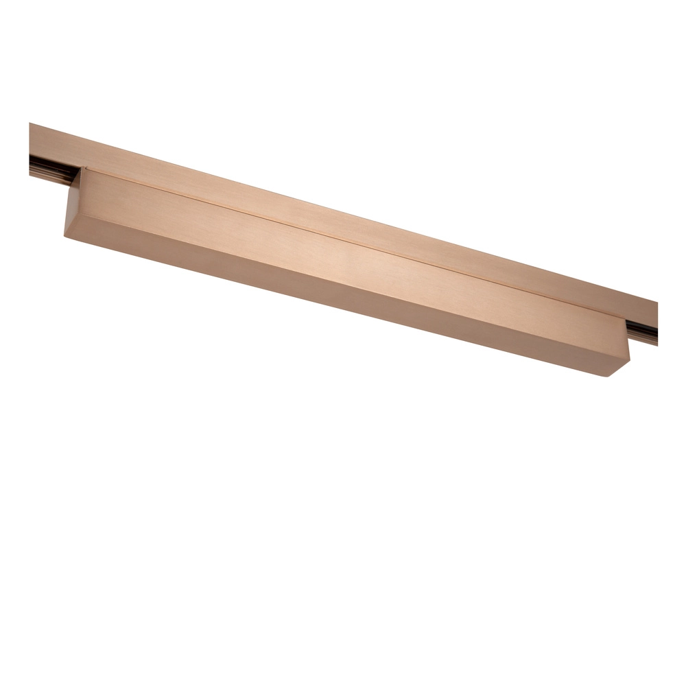 Pilote monophasé monté en surface Linial Champagne Premium by Lucide 5411212552150