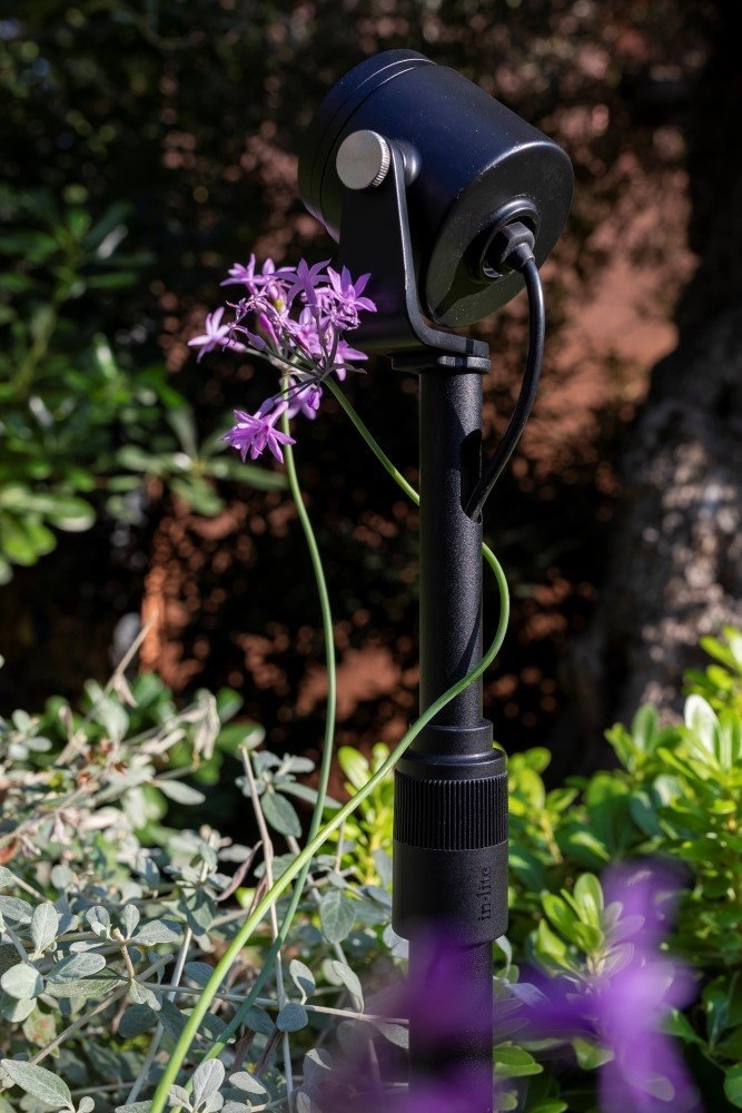 Tige d'extension Riser 2 pour les spots Scope In-lite 8717051004629