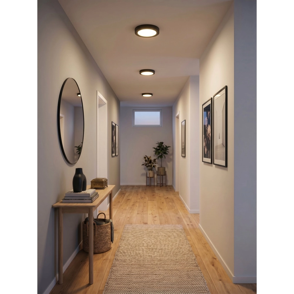 Lampe de plafond Laru Ø 21,5 cm noir Trio 4017807711523