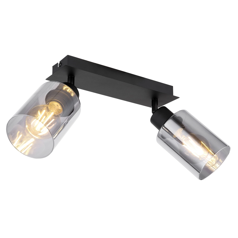 Lampe de plafond Hadera Noir à deux lumières avec verre fumé