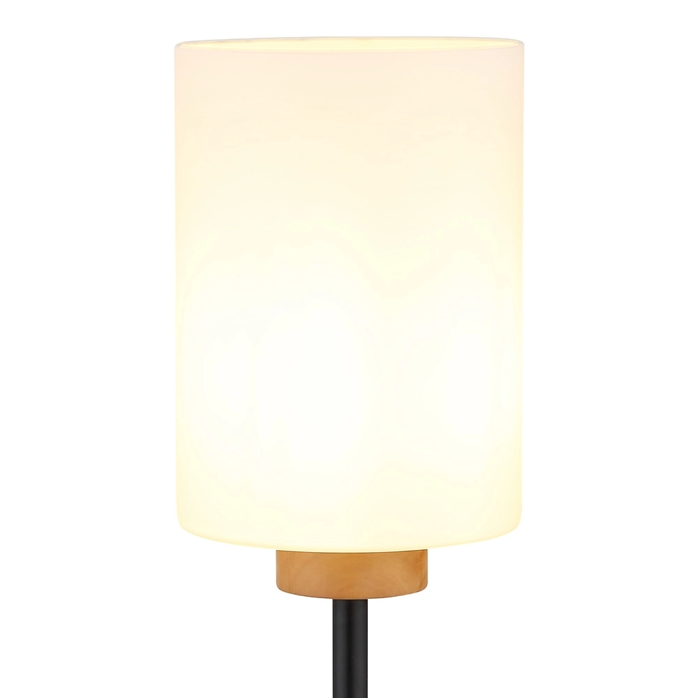 Lampe de pied Rowena Noir Globo 9007371580996