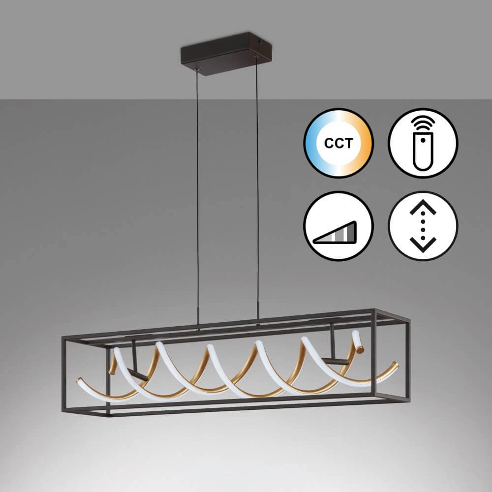 Lampe suspendue design Gian LED noire Fischer & Honsel 4003694610469