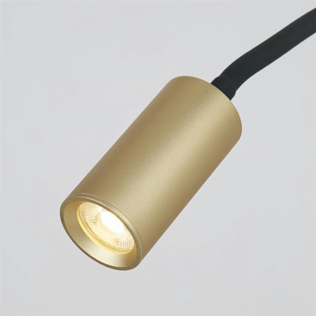 Lampe de table Ciara Or Lyora 5053423294124