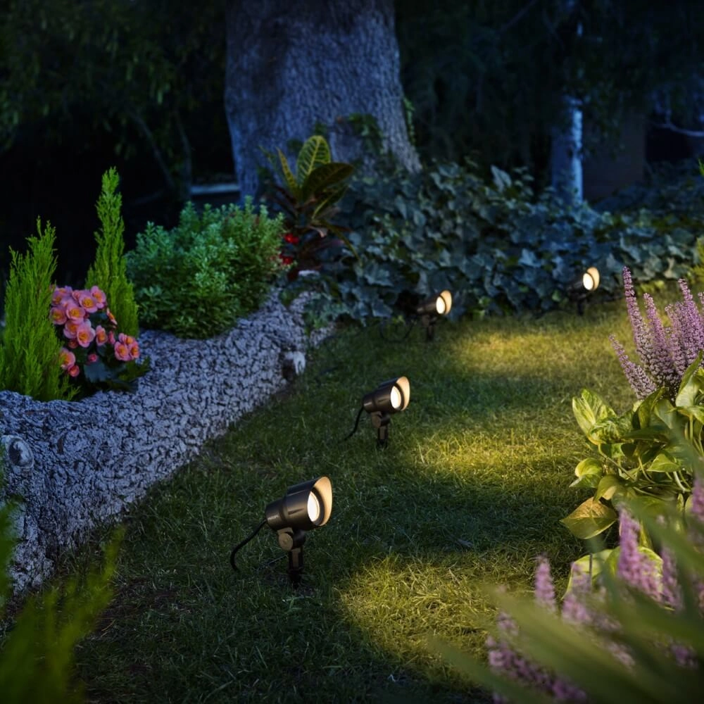 Point de piqûre Spike anthracite - rallonge Philips 8719514477094