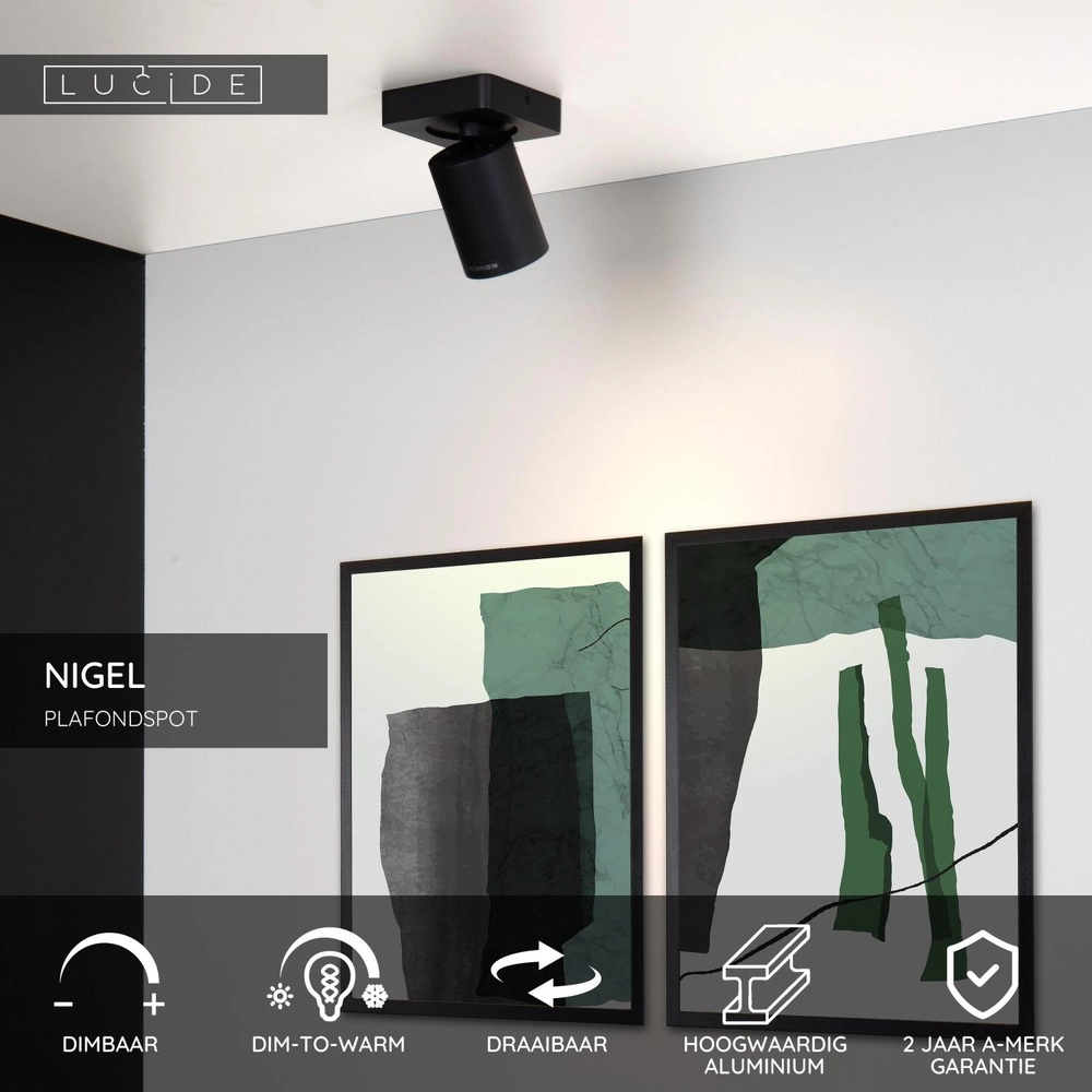 Projecteur de plafond Nigel Noir Lucide 5411212092533