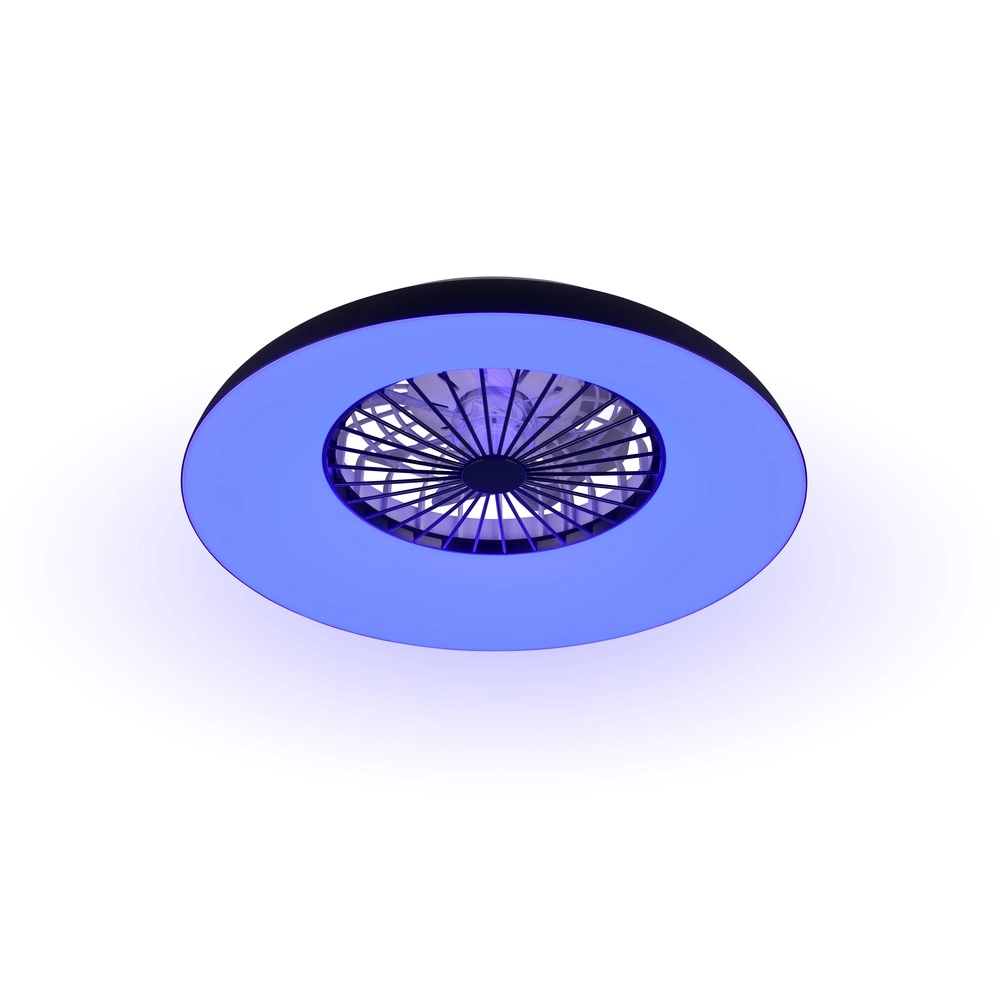 Ventilateur de conception Svaerholt noir Ø 60cm avec fonction RVB Trio 4017807688795