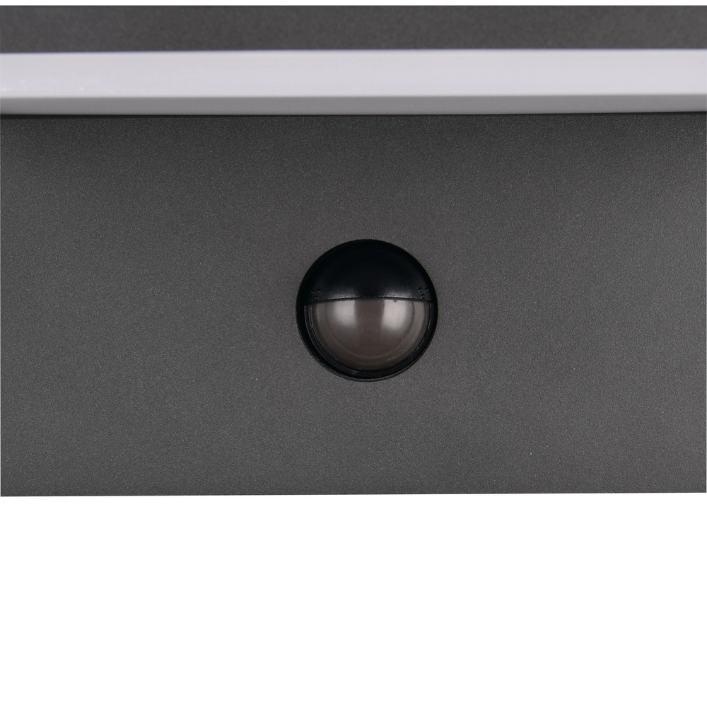 Lampe murale moderne Ravi anthracite avec capteur Trio 4017807686890