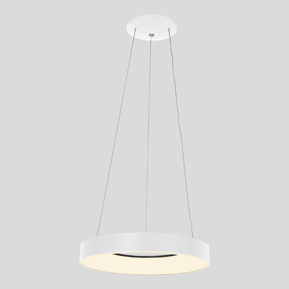 Lampe suspendue à LED Ringlede Ø 48 cm Steinhauer 8712746132854