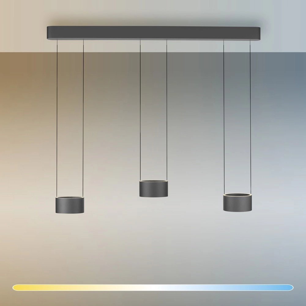 Suspension LED de conception Pure Clipse Gris mystique Paul Neuhaus 4012248396315